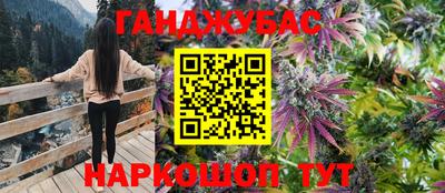 гидра Краснодар
